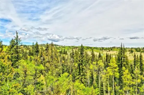 Picturesque Treed Land in Rockies