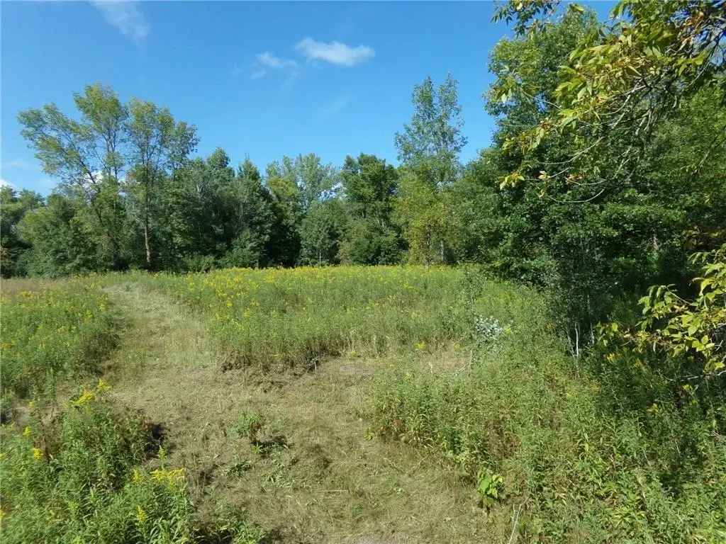 Picture 2