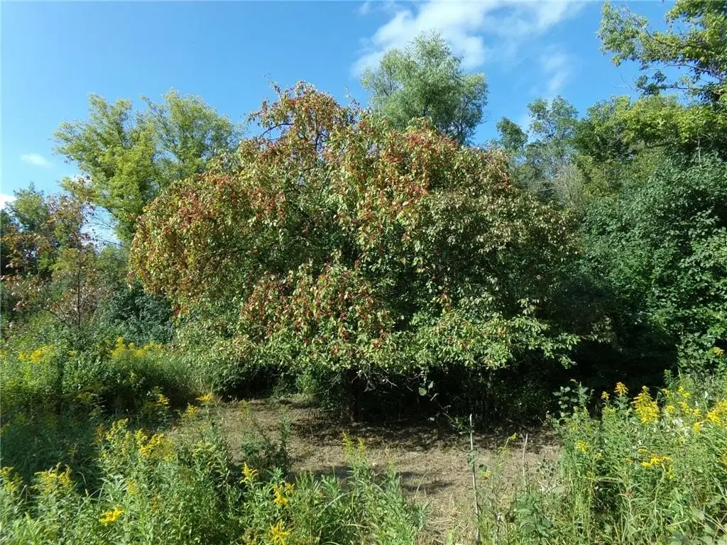 Picture 7