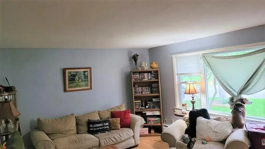 Picture 5