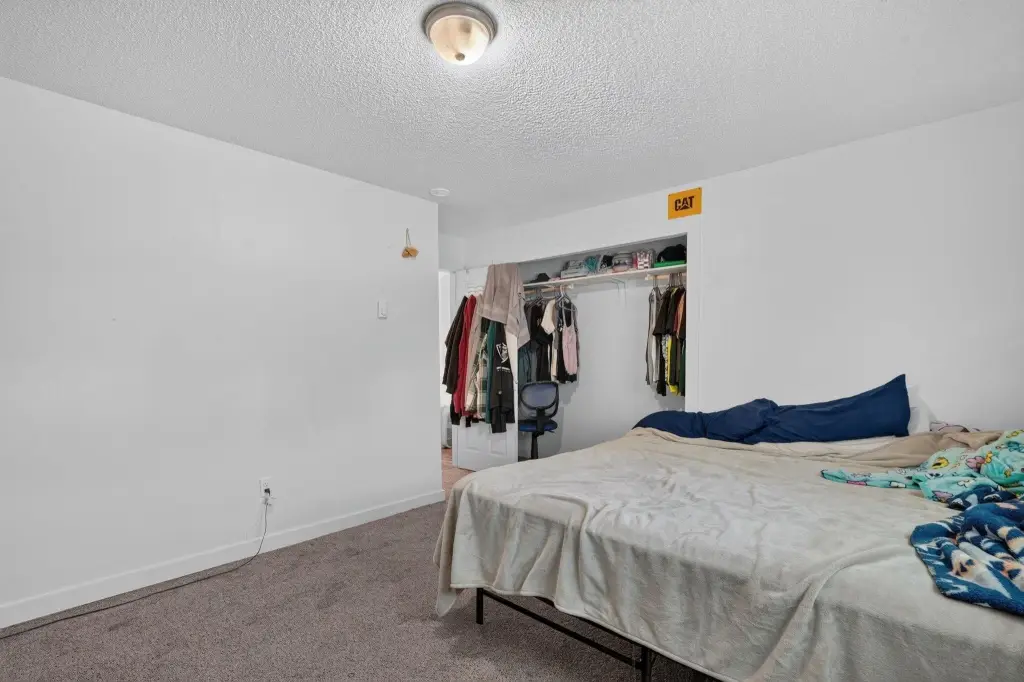 Picture 19