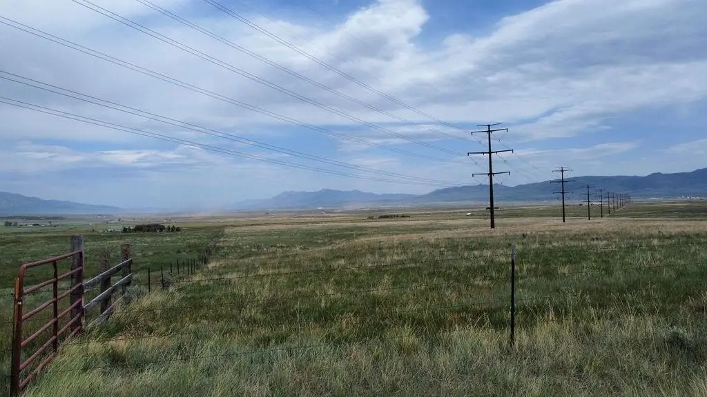 Picture 13