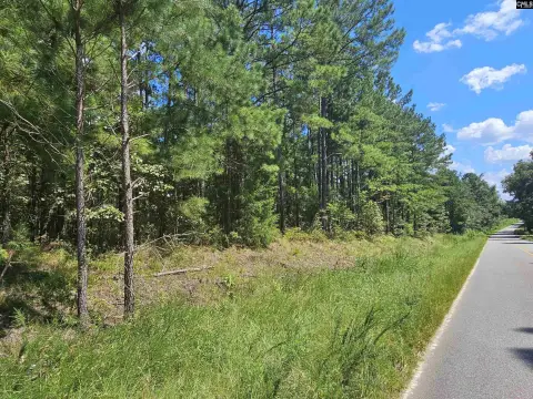 Gaston SC 10-Acre Tract