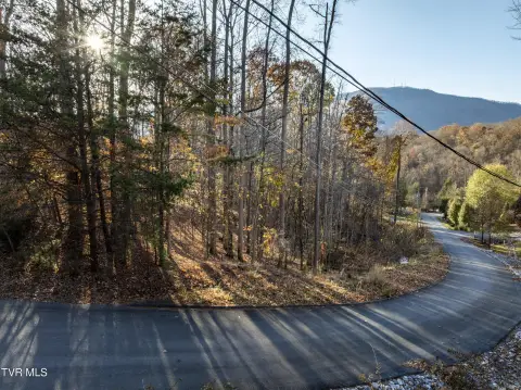 Wooded Lot in Scenic View