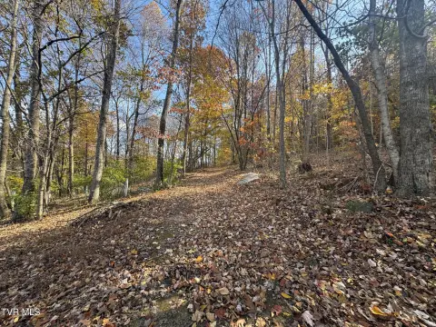 Residential Land in Johnson City