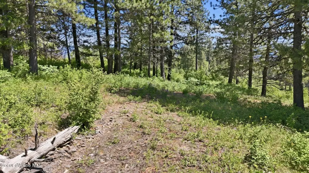Picture 5
