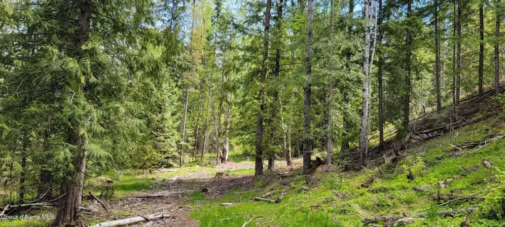 Picture 9