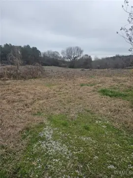 Greensboro Land with Utilities