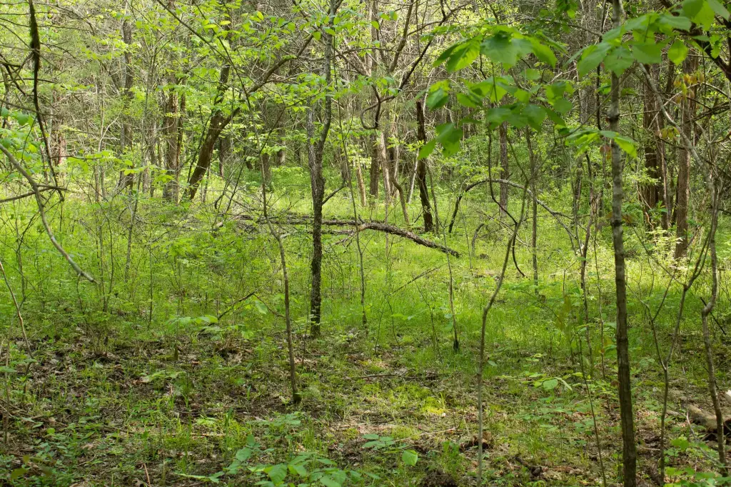 Picture 17
