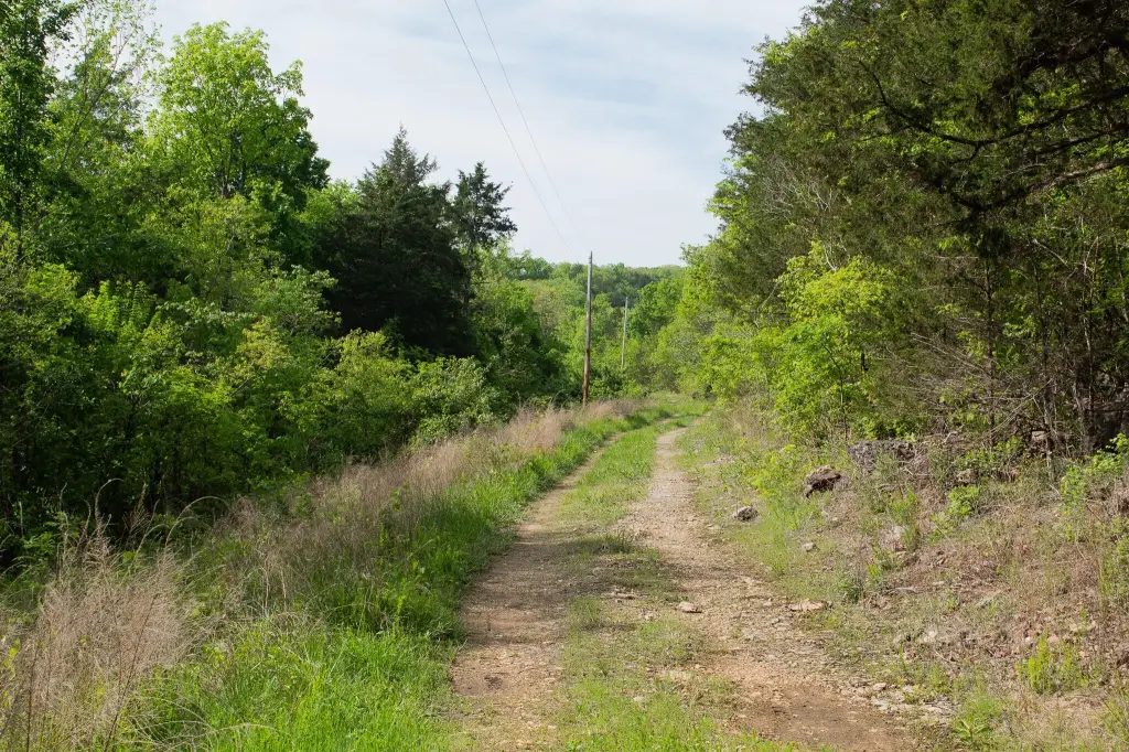Picture 25