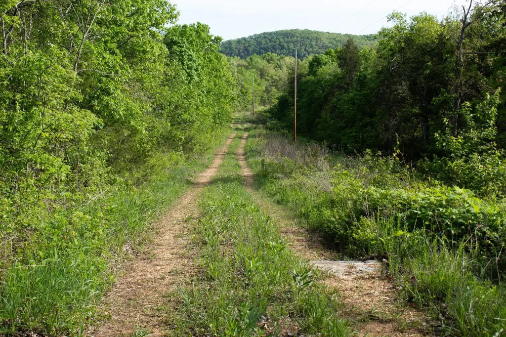Picture 4