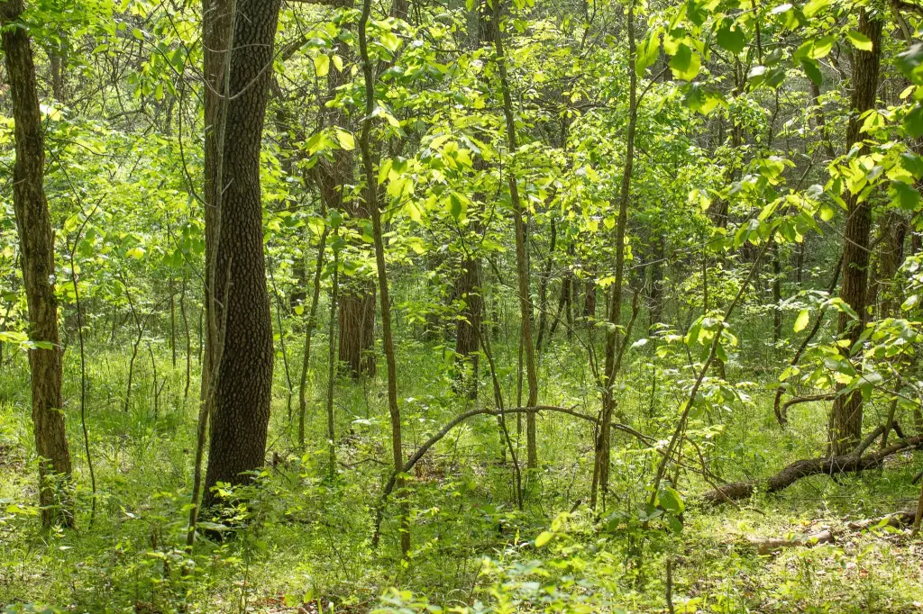 Picture 22