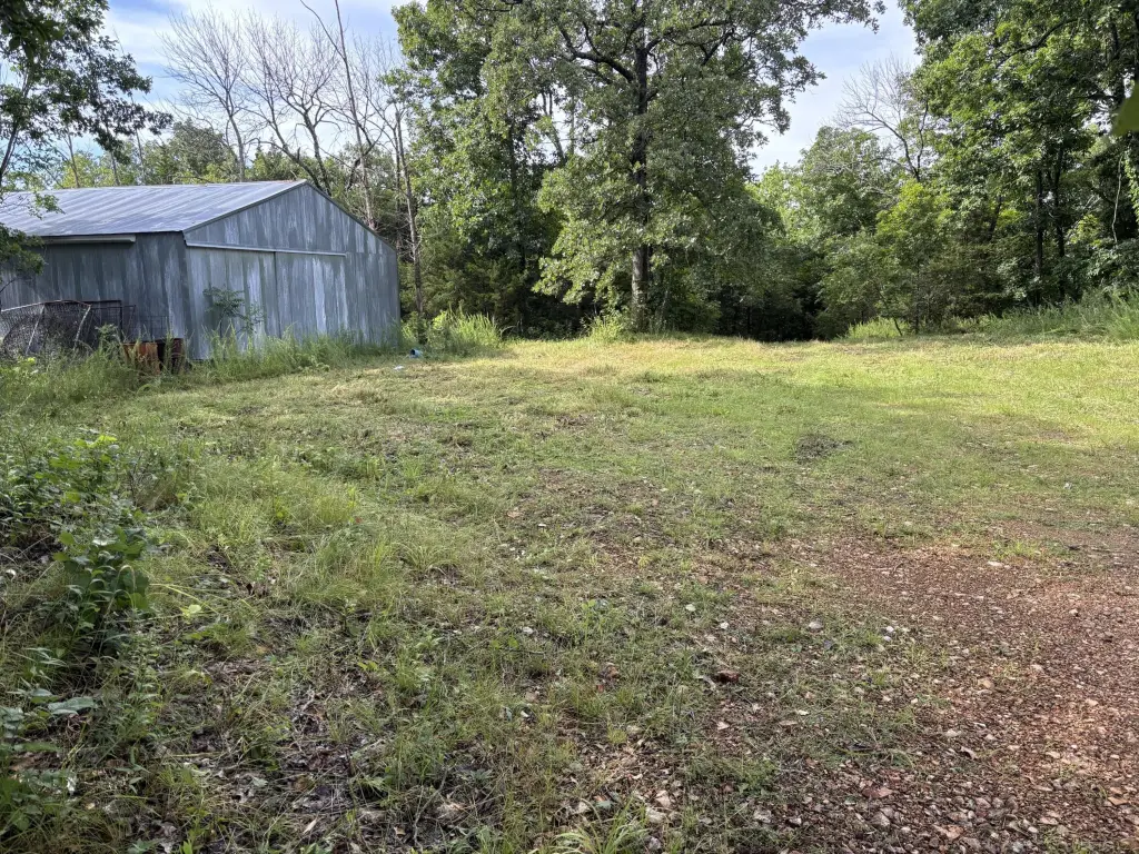 Picture 4