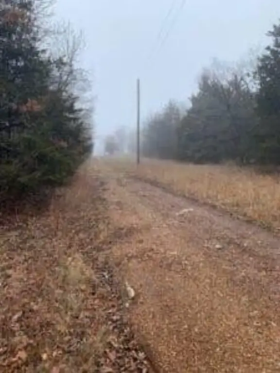 Picture 7