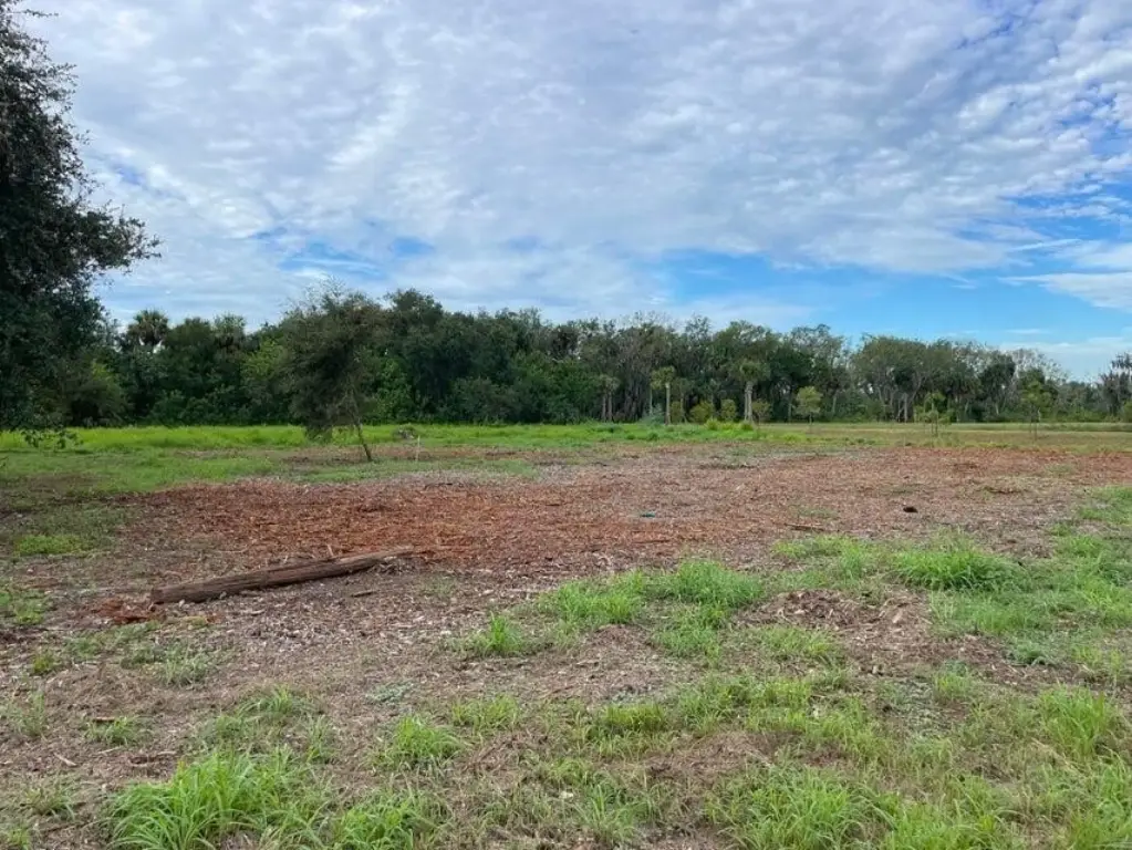 Picture 6
