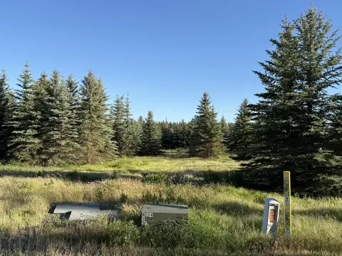 Farmland Tree-Farm Property with Private Drive