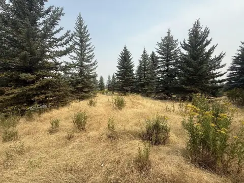 Agricultural Land with Private Drive