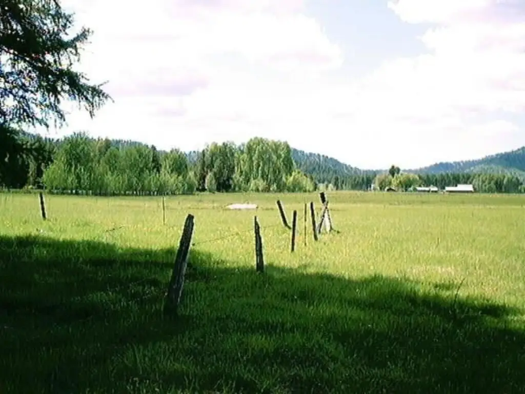 Picture 13