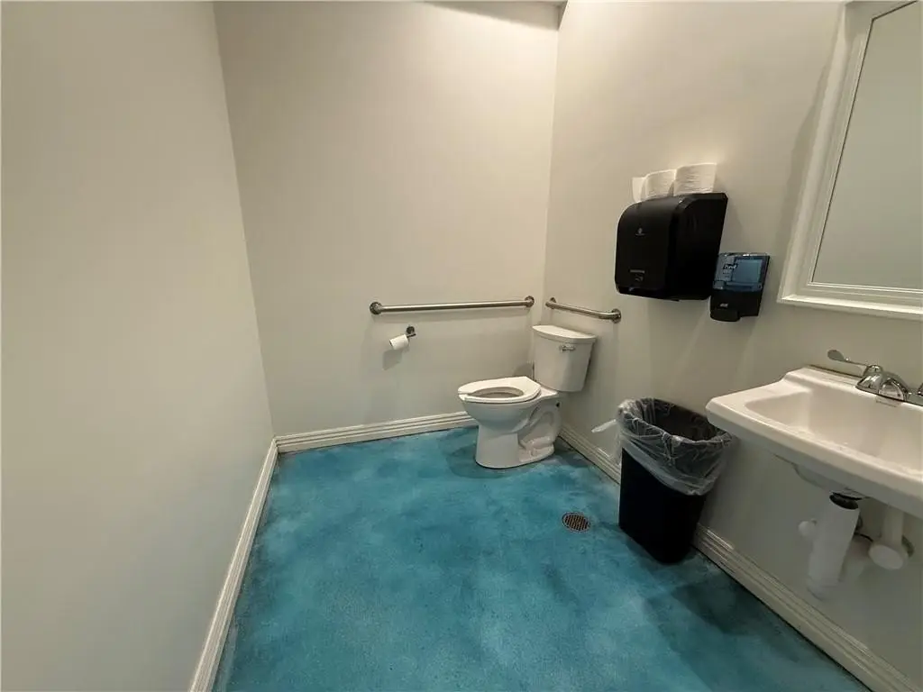 Picture 5