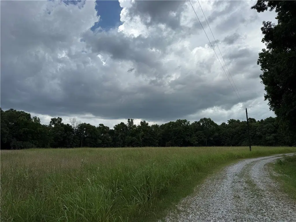 Picture 14