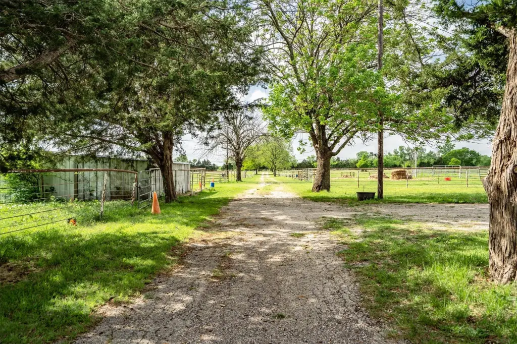 Picture 20