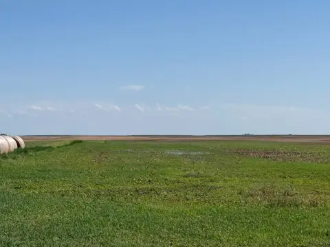 Dry Cropland Farm Near Gurley