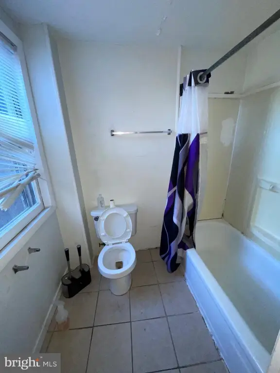 Picture 23