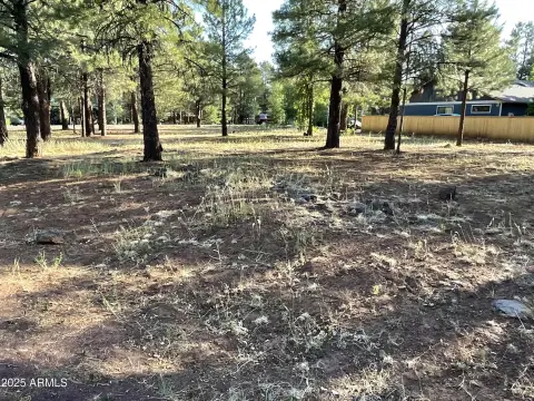 Pinetop Lakes Equestrian Land Parcel
