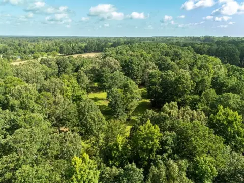 Secluded Acreage in Upshur County