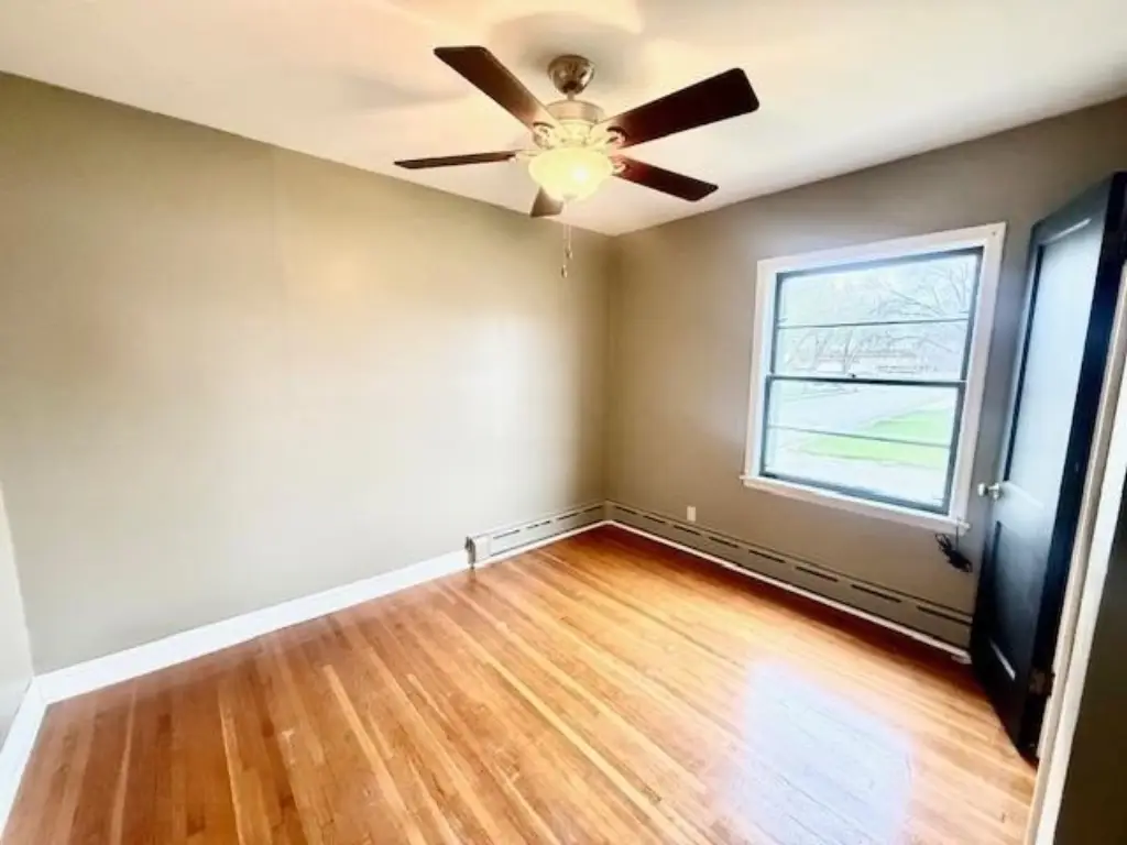 Picture 15