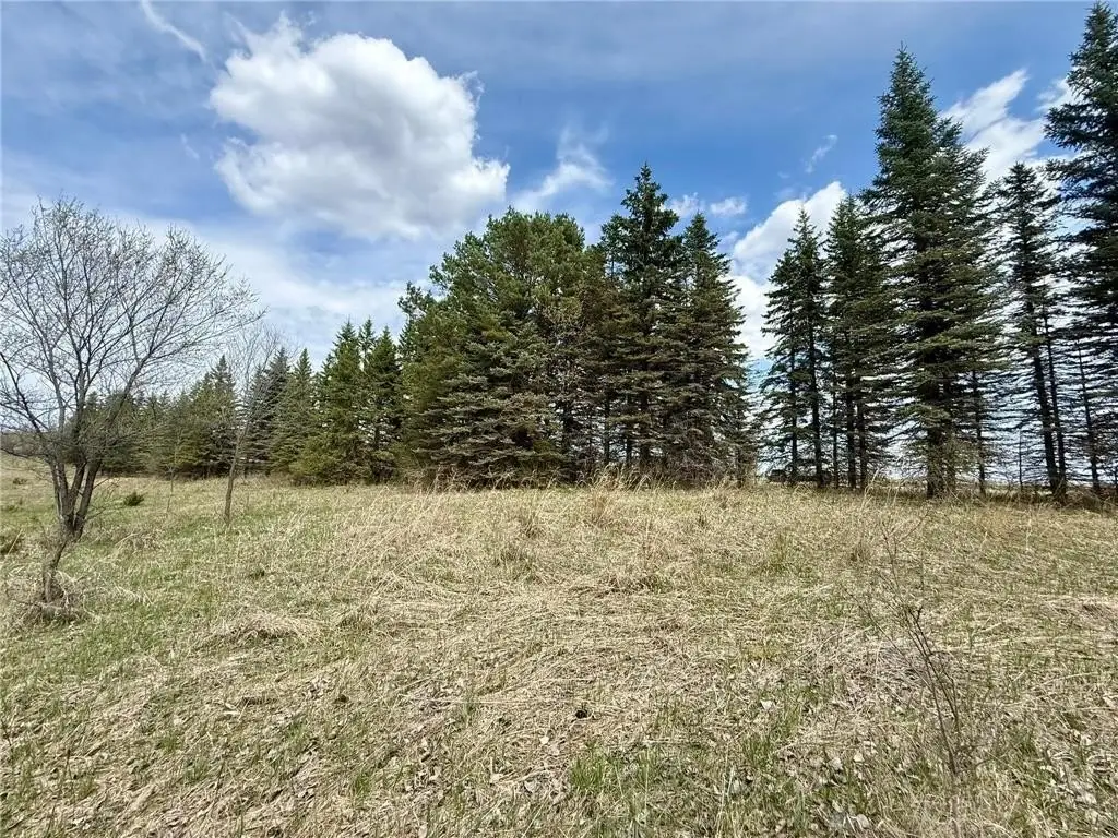 Picture 12