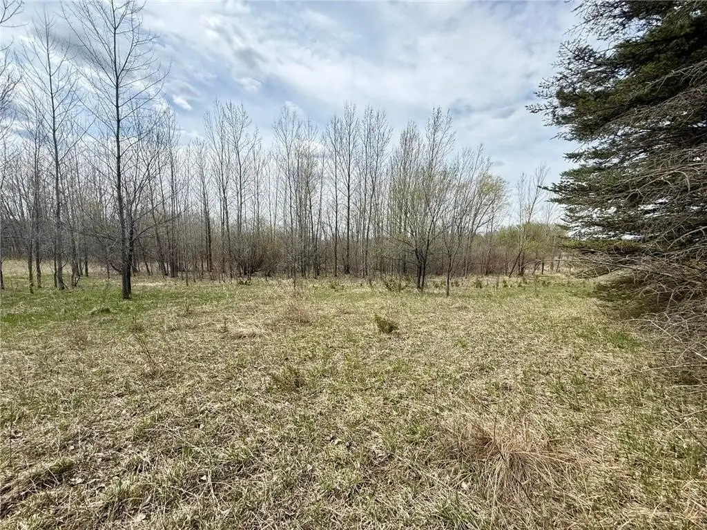 Picture 11