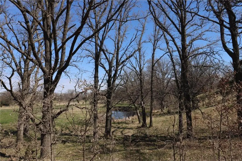 Picture 16