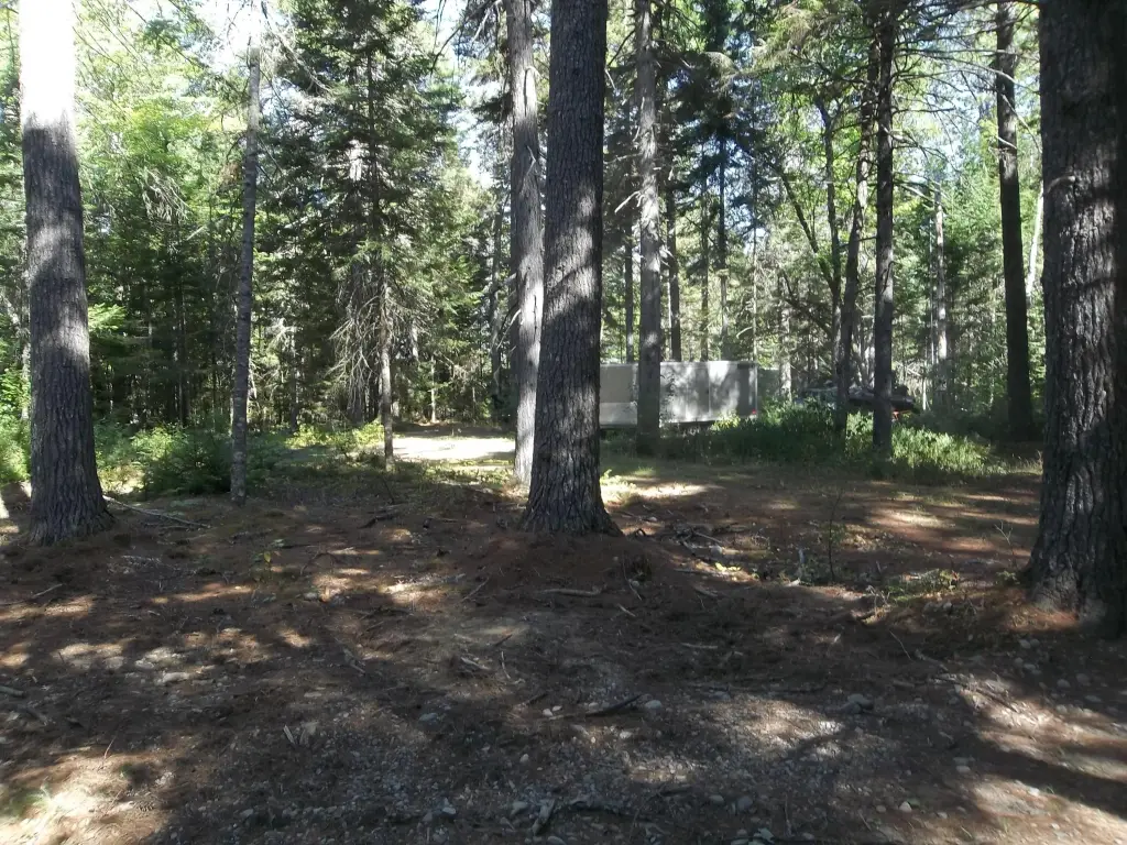 Picture 6