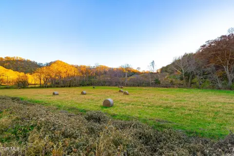 60 Acres in Blackwater, Virginia