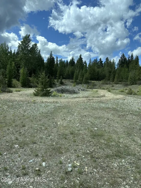 Picture 8