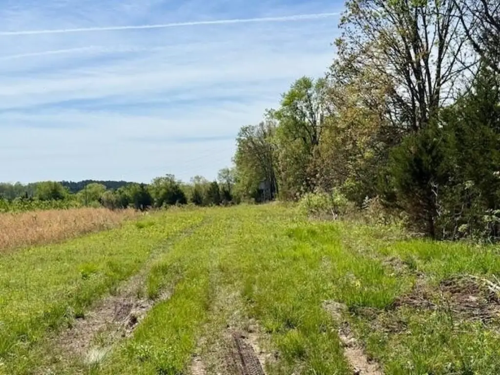 Picture 35