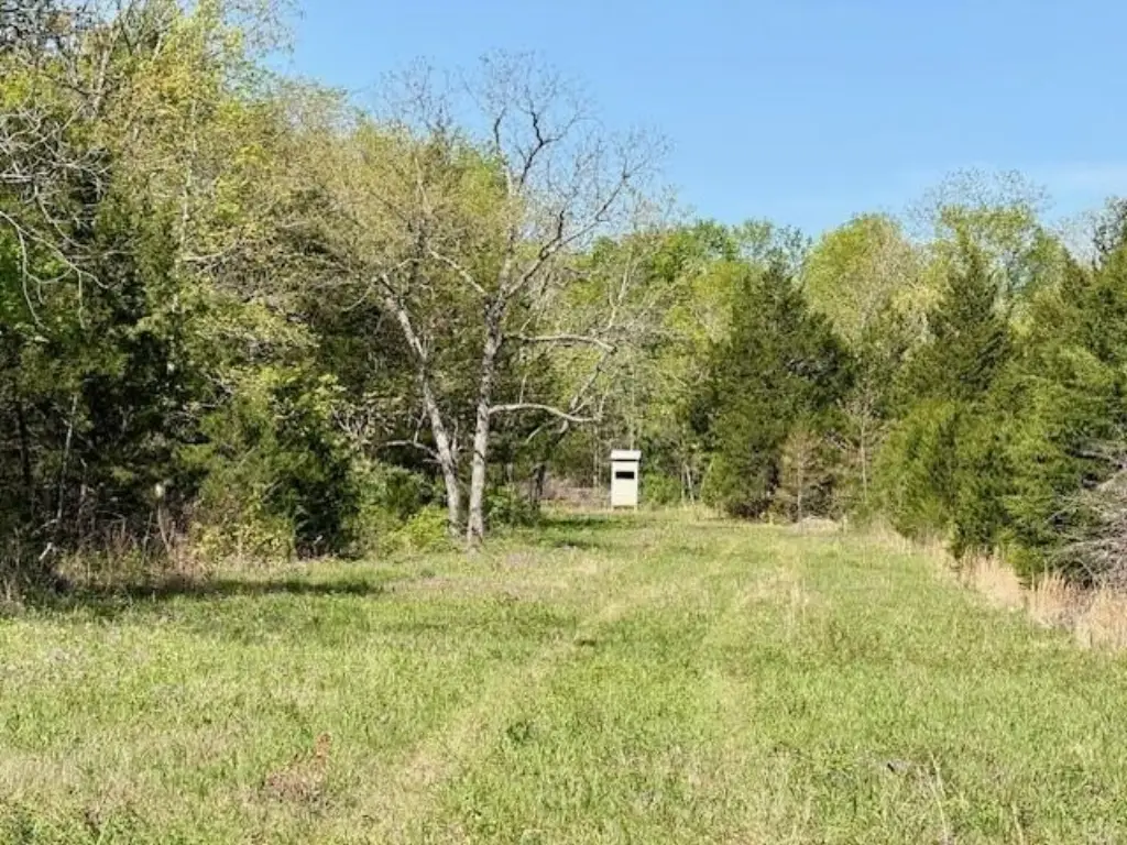 Picture 14