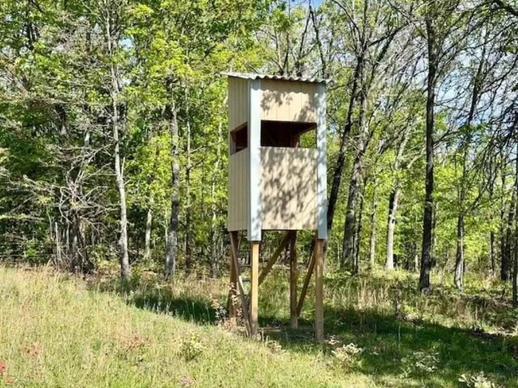 Picture 23