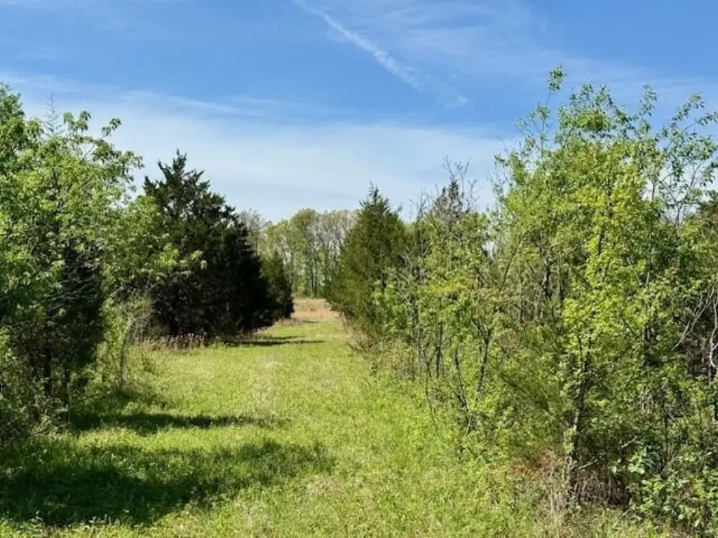 Picture 29