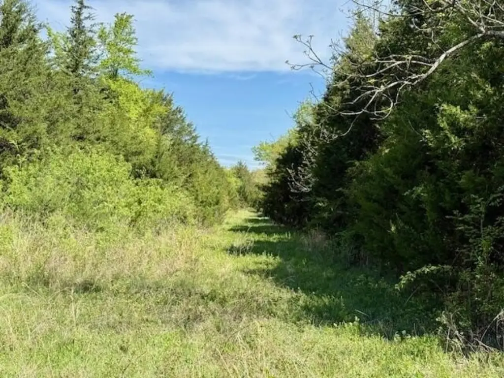 Picture 62