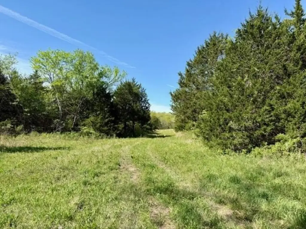 Picture 19