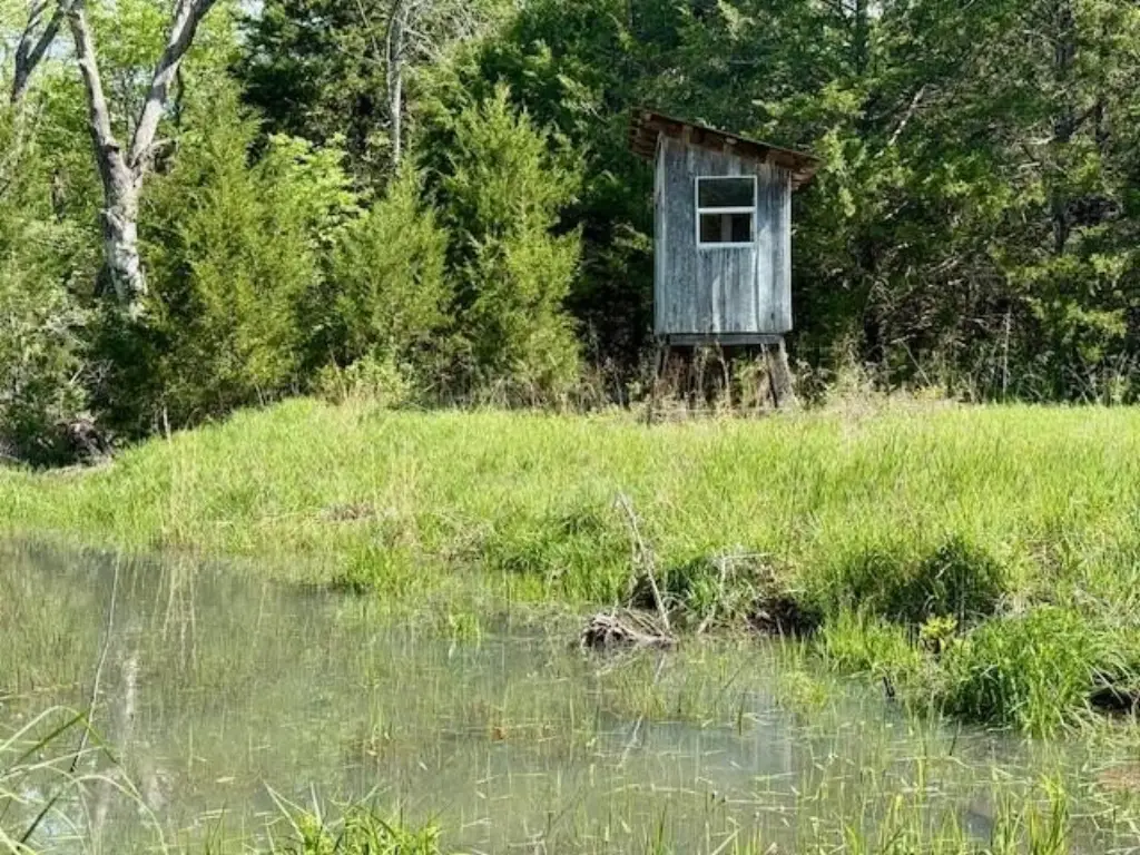 Picture 9