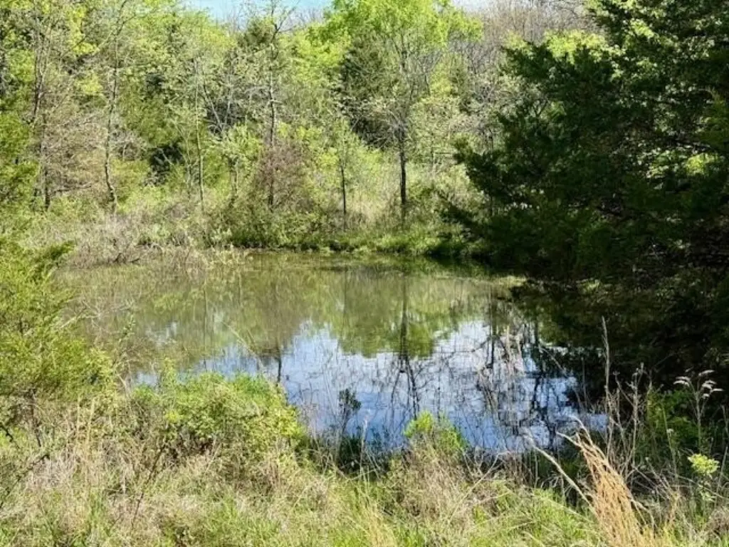Picture 21
