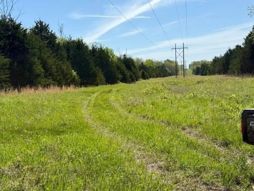 Picture 18