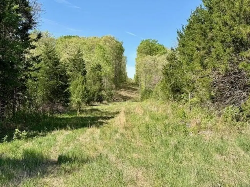 Picture 13