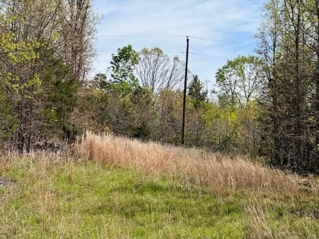 Picture 38