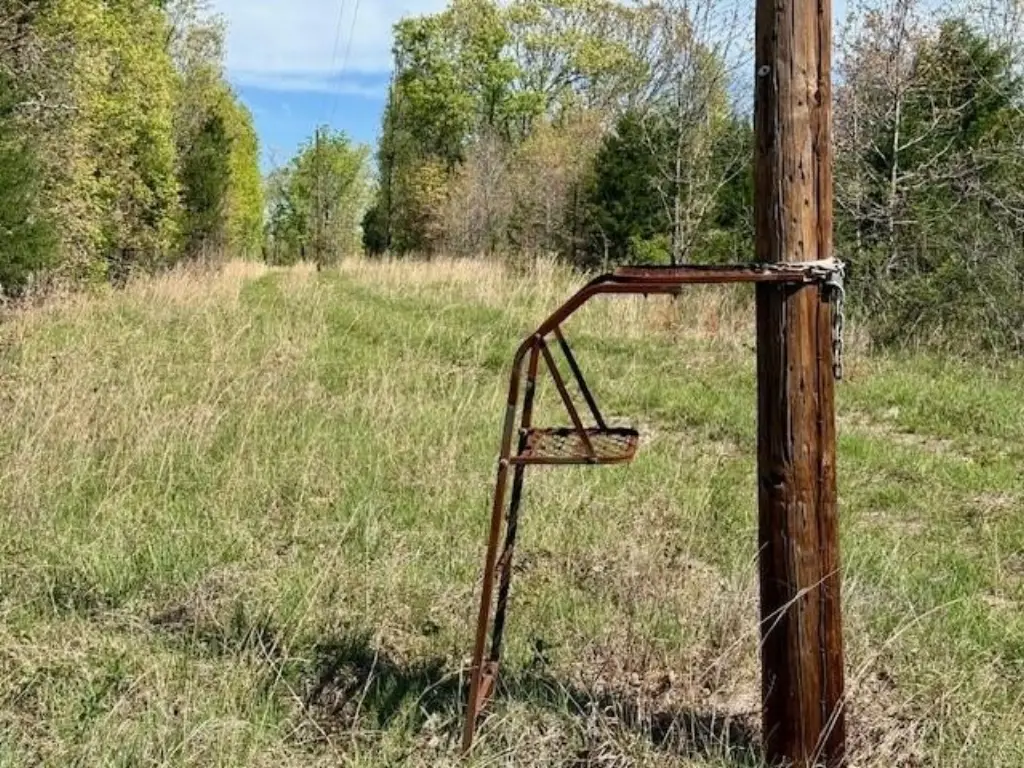 Picture 39