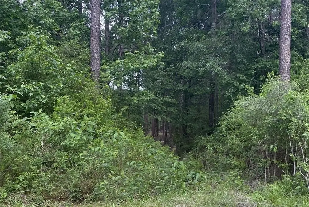 Picture 8