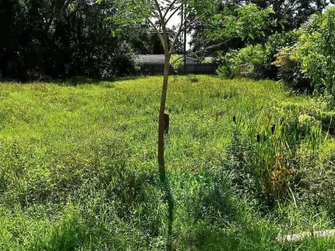 Vacant Land in Nokomis Manor